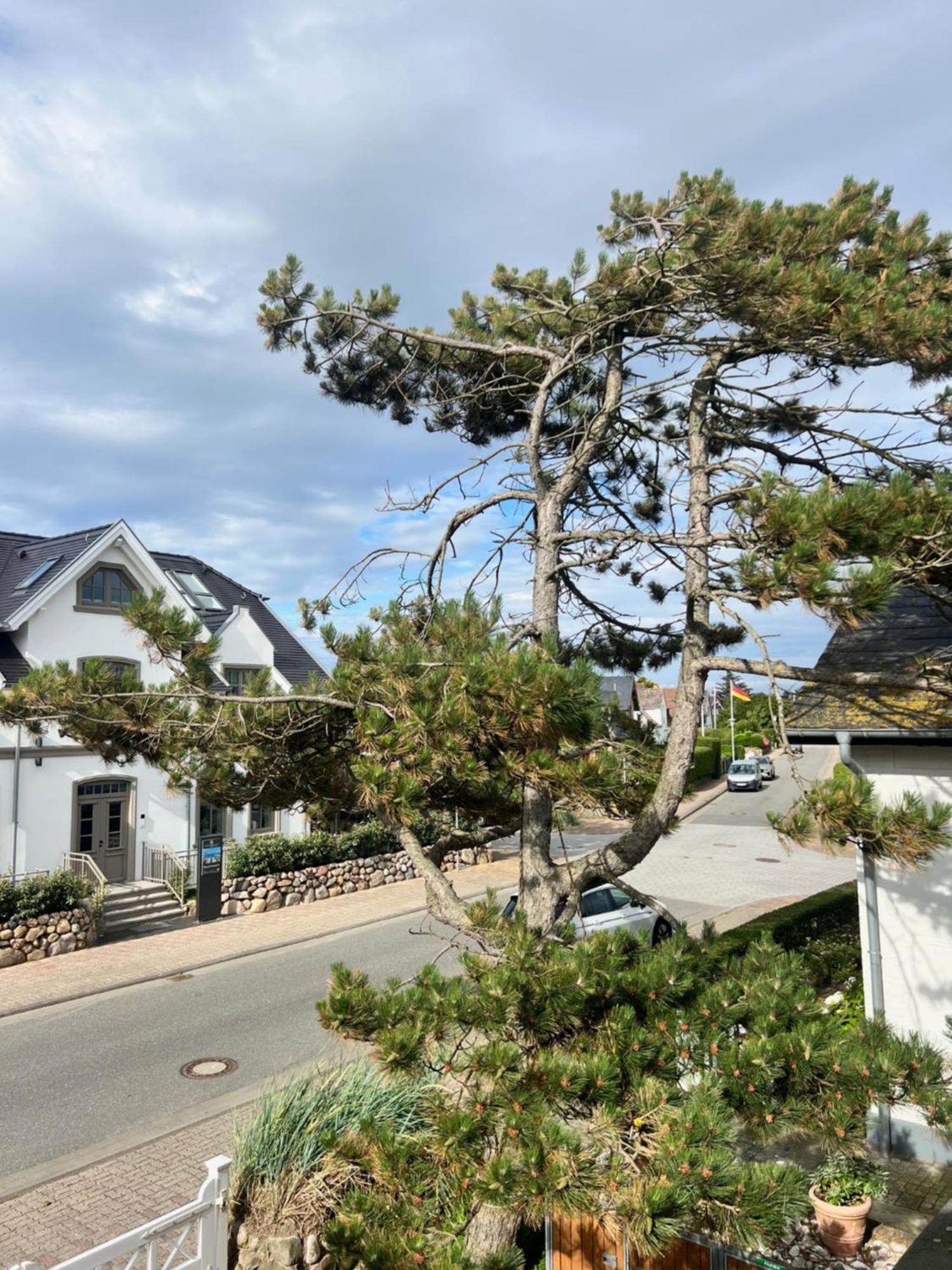 Sylt Island House Apartment Westerland Cameră foto